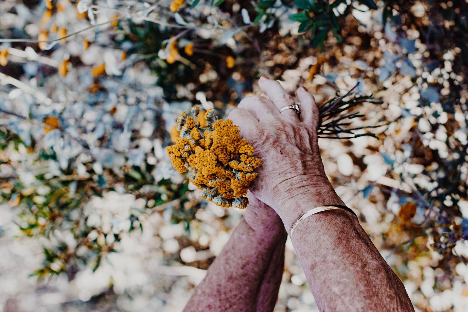 Dom opieki przystań na godną starość