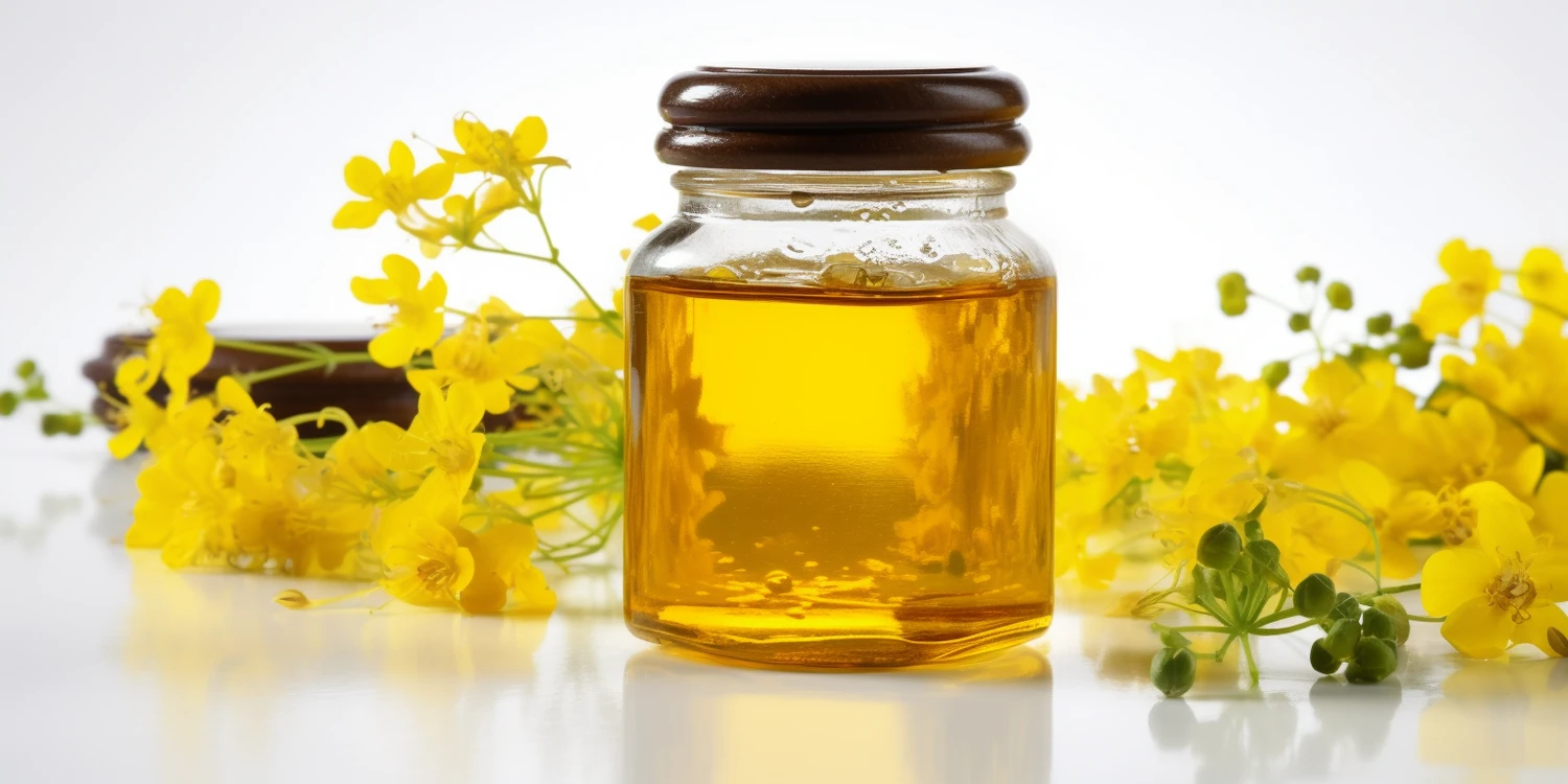 Gdzie można kupić matki pszczele reprodukcyjne?