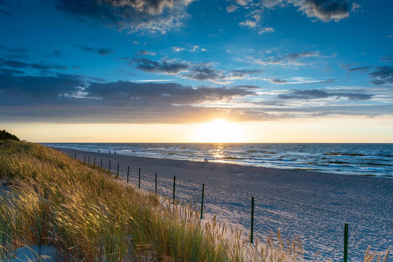 Ile kosztuje trawa z rolki?
