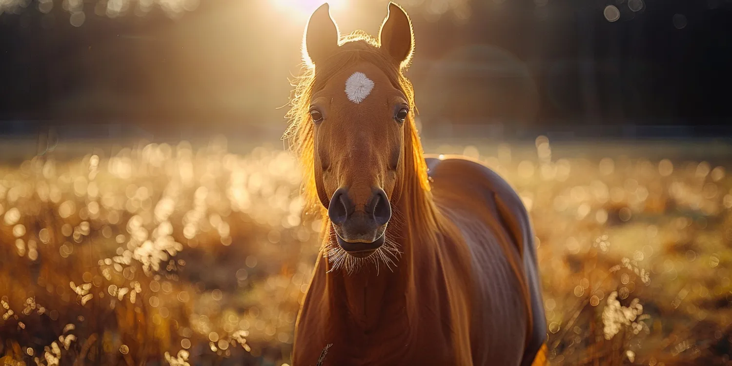 Trawa z rolki jak dbać?