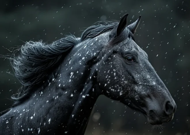 Humanitarne i godne żegnanie się ze zwierzętami