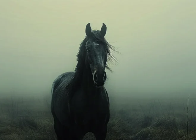 Jak upamiętnić zmarłego pupila?