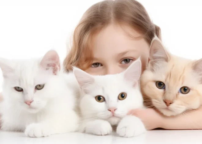 Krematorium Tiere Poczdam