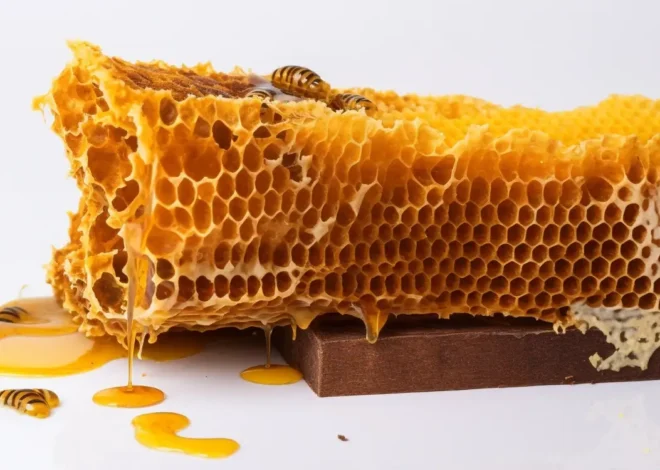 Miód gryczany na co jest dobry?