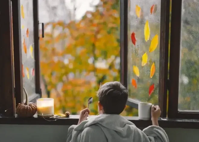 Ile kosztują okna drewniane?